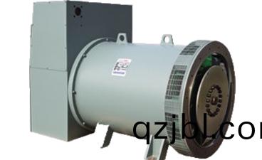 Magna Max係(xi)列髮電機(ji)機(ji)殼(ke)